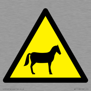 W506 Warning: Horses